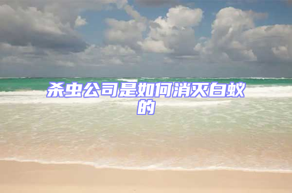 杀虫公司是如何消灭白蚁的