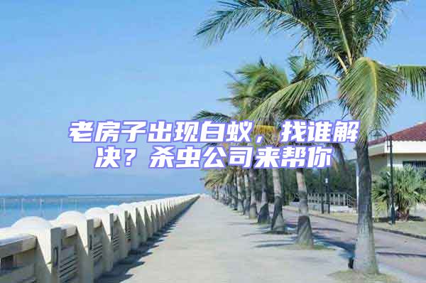 老房子出现白蚁，找谁解决？杀虫公司来帮你