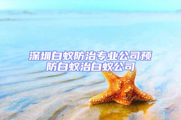 深圳白蚁防治专业公司预防白蚁治白蚁公司