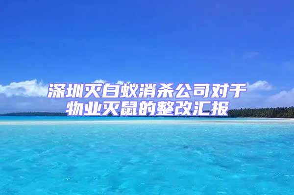 深圳灭白蚁消杀公司对于物业灭鼠的整改汇报