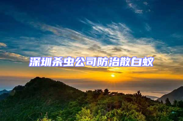 深圳杀虫公司防治散白蚁